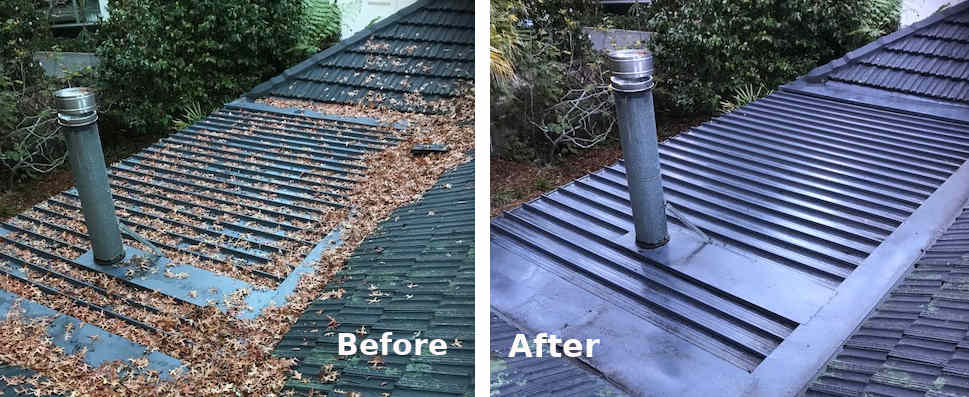 Roof and gutters clearing before and after by TP Roofing